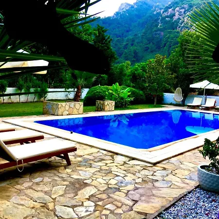 Vila Dantella